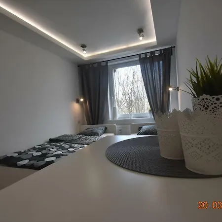White Scandic *